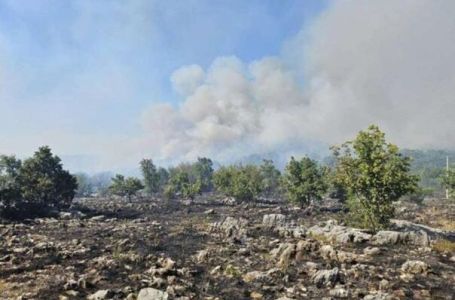 Požar bjesni iznad Prozor-Rame: Vjetar otežava gašenje, stigao Air Tractor