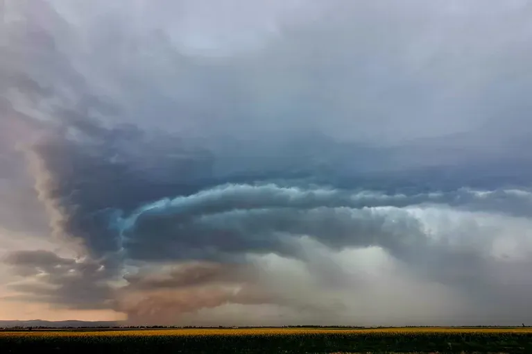 Snažna oluja donela haos u Požarevcu – vetar lomio drveće i oštećivao automobile