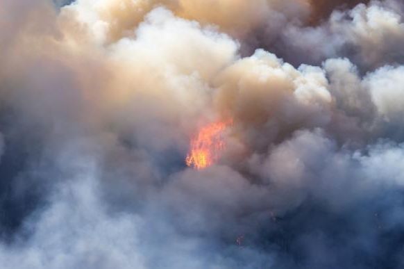 Požari zahvatili područje oko Niša, Aleksinca i Bele Palanke — nema povređenih