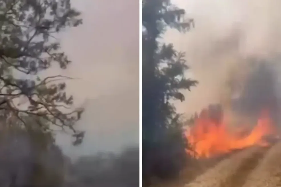 Grmi i sijeva, ali i zemlja gori: Haotično vrijeme u bh. susjedstvu