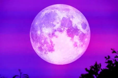 Mjesečni horoskop za avgust: Pun Mjesec u Vodoliji potpuno mijenja sudbinu 4 znaka