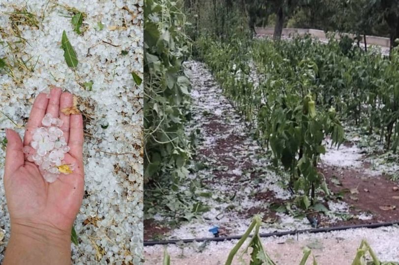 Nevrijeme poharalo ovaj dio BiH: "Šteta je velika... sve što smo posadili je izgubljeno"