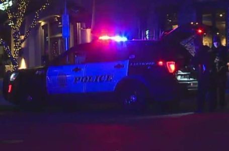 Sve više ljudi ostaje bez posla zbog AI-ja. Najveći udar je na mlade