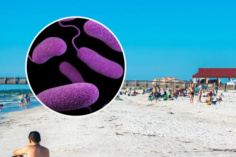 Bakterija koja "jede meso" odnosi živote: Izdato upozorenje ljudima da izbjegavaju kupanje ovdje