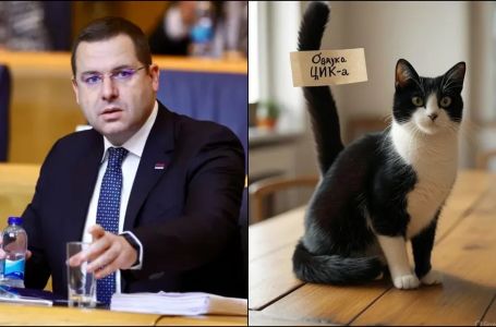 Glasnogovornik SNSD-a objavio sliku mačke i na njenom repu odluku CIK-a: "Vidimo se na izborima"