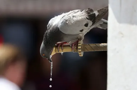 Vreli talas u BiH: Na jugu do 41 °C, oprez zbog visokih temperatura!