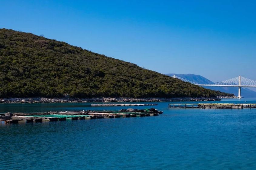 Tužan prizor u moru kod Pelješkog mosta: "Najvjerovatnije je ljudski faktor..."