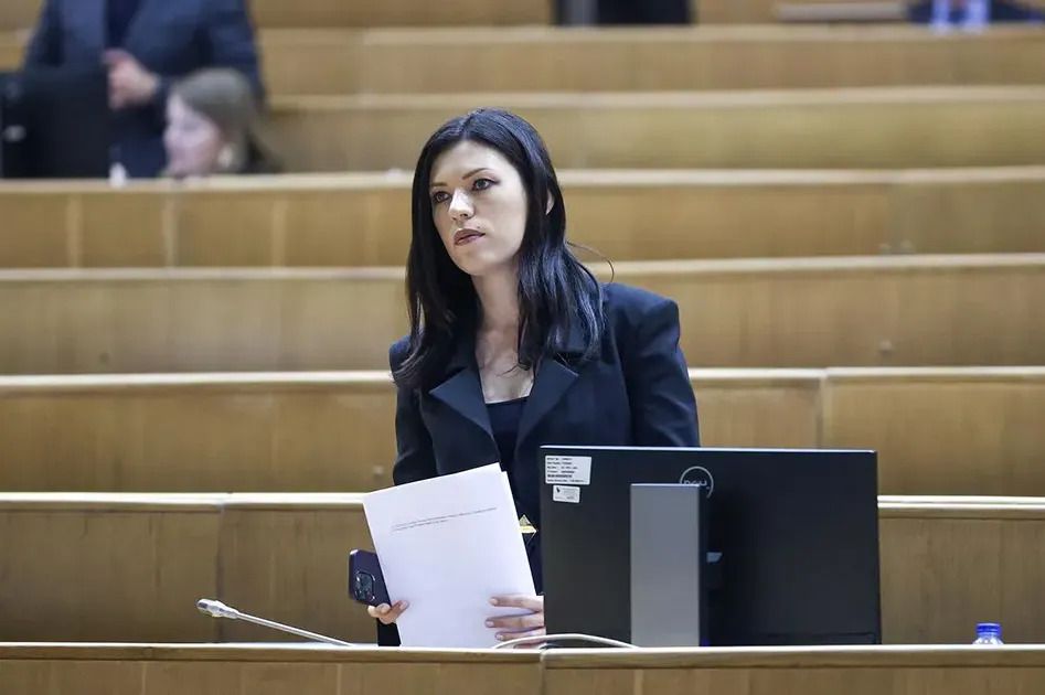 Vulić pojasnila izjavu: "Sastav Savjeta bezbjednosti je promjenjiv"