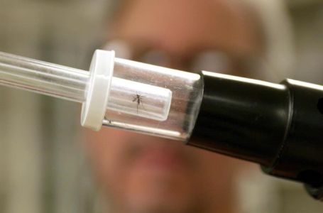 Opasnost za turiste: komarci donose "batinajući" viruse u Veliku Britaniju