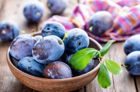 Sedam razloga zašto su šljive ovog ljeta nezaobilazan dio vaše trpeze