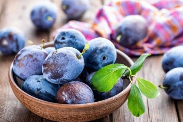 Sedam razloga zašto su šljive ovog ljeta nezaobilazan dio vaše trpeze