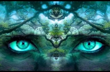 PROVJERITE KOLIKO STE SRETNI: Šta ste prvo vidjeli na ovoj slici otkriva vašu tajnu