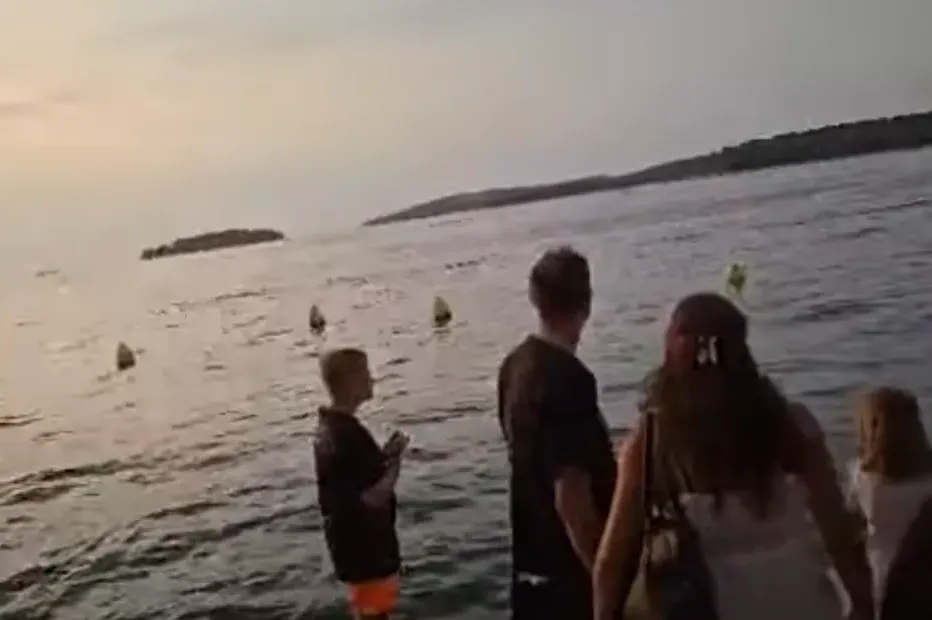 Sudar brodica kod Rovinja: Putnici pali u more u dramatičnoj nesreći!