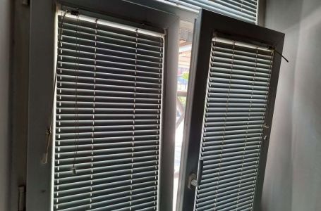 Stručnjaci upozoravaju građane i savjetuju ih neka noću zatvore prozore zbog opasne vrste paukova