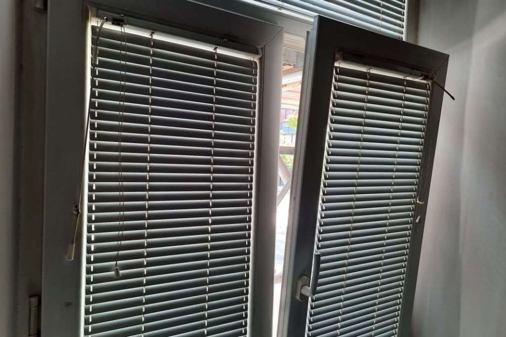 Stručnjaci upozoravaju građane i savjetuju ih neka noću zatvore prozore zbog opasne vrste paukova