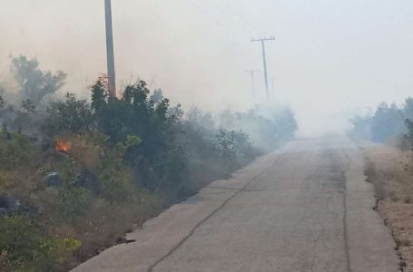 Požar u neumskom zaleđu: Ugrožene kuće u selu Prapratnica