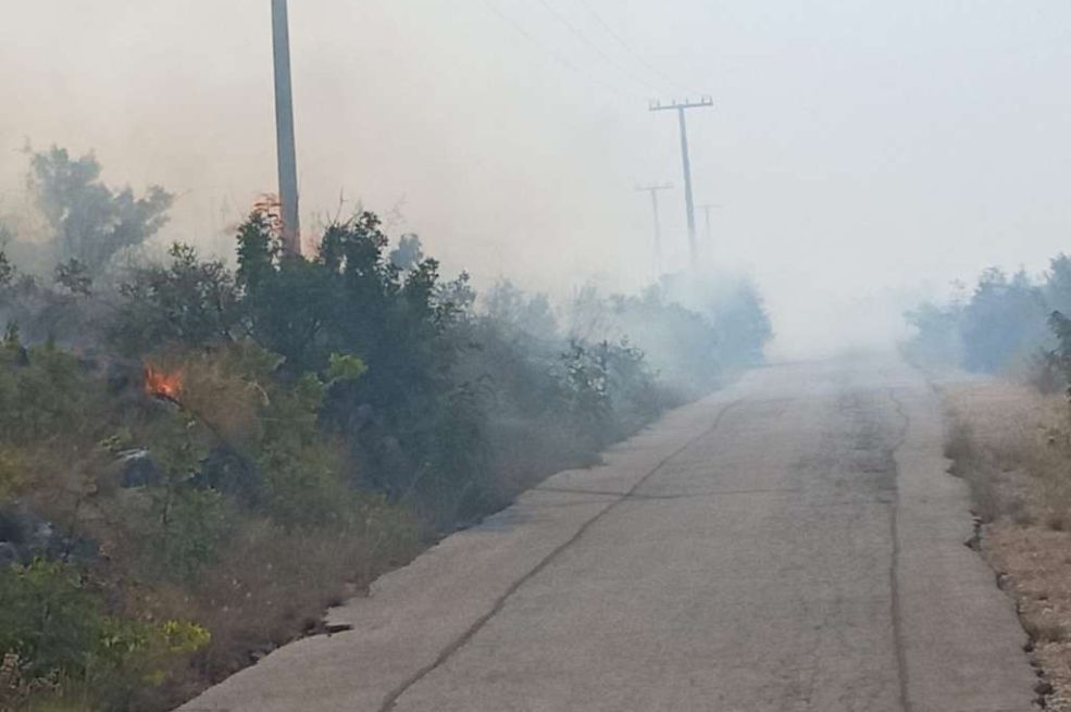 Požar u neumskom zaleđu: Ugrožene kuće u selu Prapratnica
