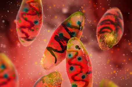 Stanovnik Kalifornije pozitivan na kugu