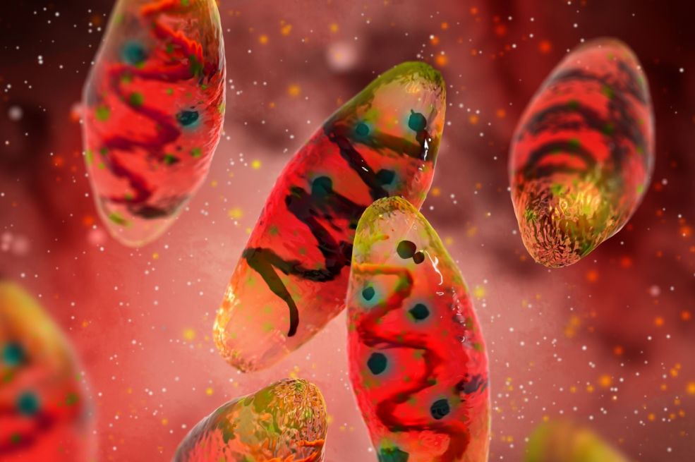 Stanovnik Kalifornije pozitivan na kugu