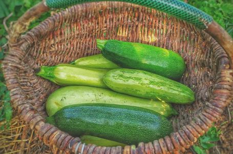 Pohovane tikvice bez brašna i bez jaja: Gotove za 10 minuta, evo s čim se pohuju