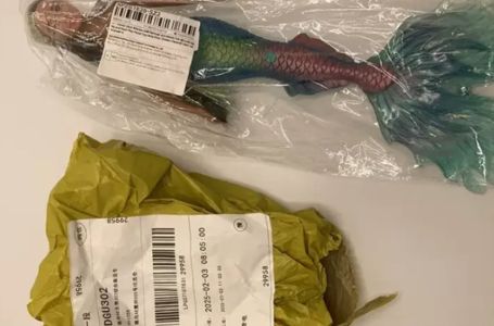 Obavijest kupcima: Lutka za kojom djeca lude hitno povučena sa tržišta