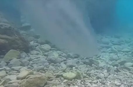 "Ljigavci“ okupirali plaže na Jadranu: Evo gdje ih je najviše