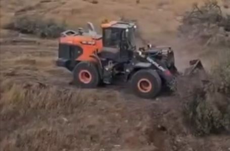 Izraelski buldožeri bez milosti sravnili sa zemljom na stotine palestinskih stabala