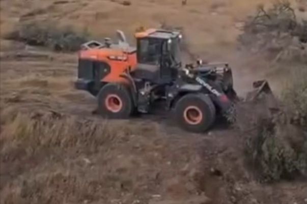 Izraelski buldožeri bez milosti sravnili sa zemljom na stotine palestinskih stabala
