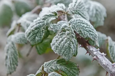 U bh. selu zabilježen mraz, temperatura pala na -1