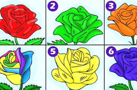 Izaberite najljepšu ružu i otkrijte duboku tajnu svoje osobnosti