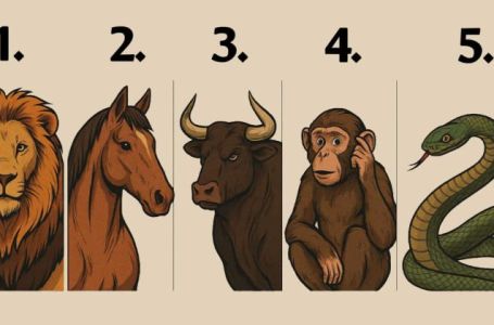 Odaberite jednu životinju sa slike i saznajte kakvi ste u očima dušmana