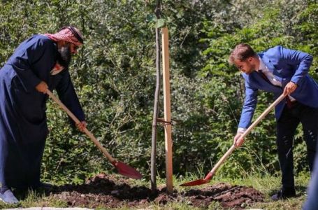 Ambasador Katara zasadio lipu u Aleji ambasadora u Sarajevu