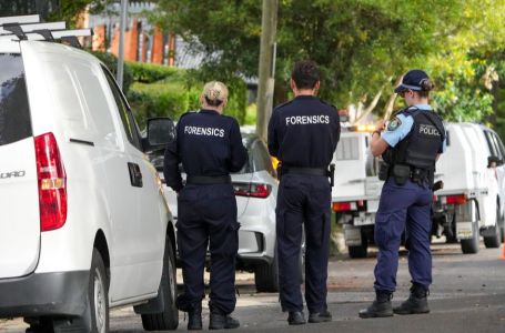 Opsadno stanje nakon pucnjave: Ubio dva policajca, jednog ranio, pa pobjegao s djecom