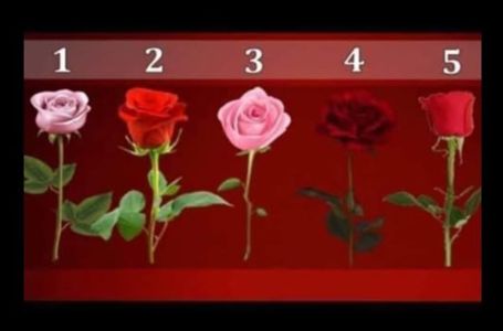 Da li će vam se ispuniti životna želja: Izaberite jednu ružu i saznajte