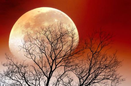 Pomračenje mjeseca 7. septembra 2025. ispunjava sve želje: Evo šta čeka vaš znak