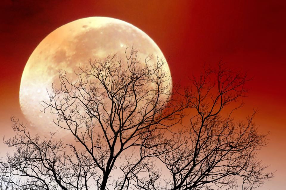 Pomračenje mjeseca 7. septembra 2025. ispunjava sve želje: Evo šta čeka vaš znak