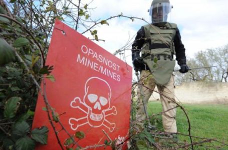 Poznati detalji stradanja mladića kod Doboja: Minu aktiviralo stado koza, Mehmeda pronašao brat