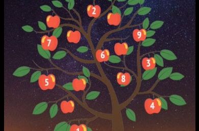 Ovo drvo ostvaruje baš sve vaše želje: Izaberite jedan broj i saznajte kakva vas sudbina čeka