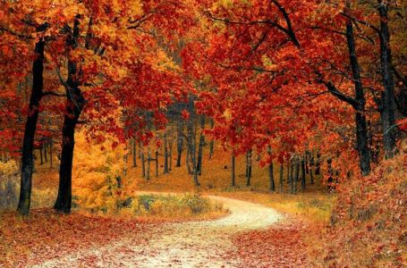 BH Meteo objavio prognozu za naredne dane: EVO DO KOLIKO ĆE IĆI TEMPERATURE!