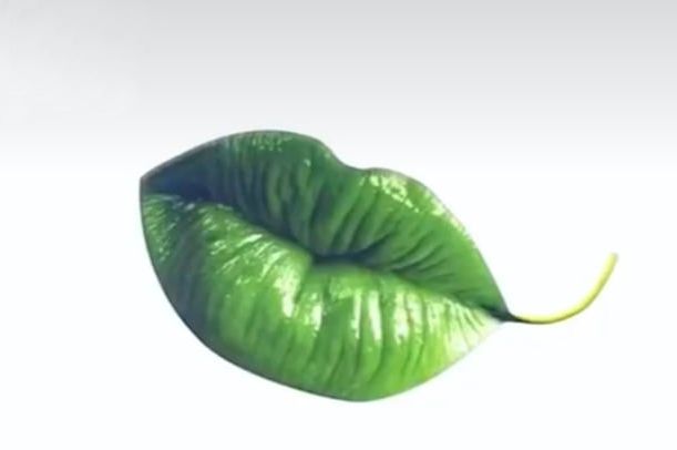 Šta vidite na slici: Evo šta o vama govori ono što prvo ugledate