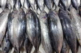 Ovo su nuspojave prekomjerne konzumacije ribe