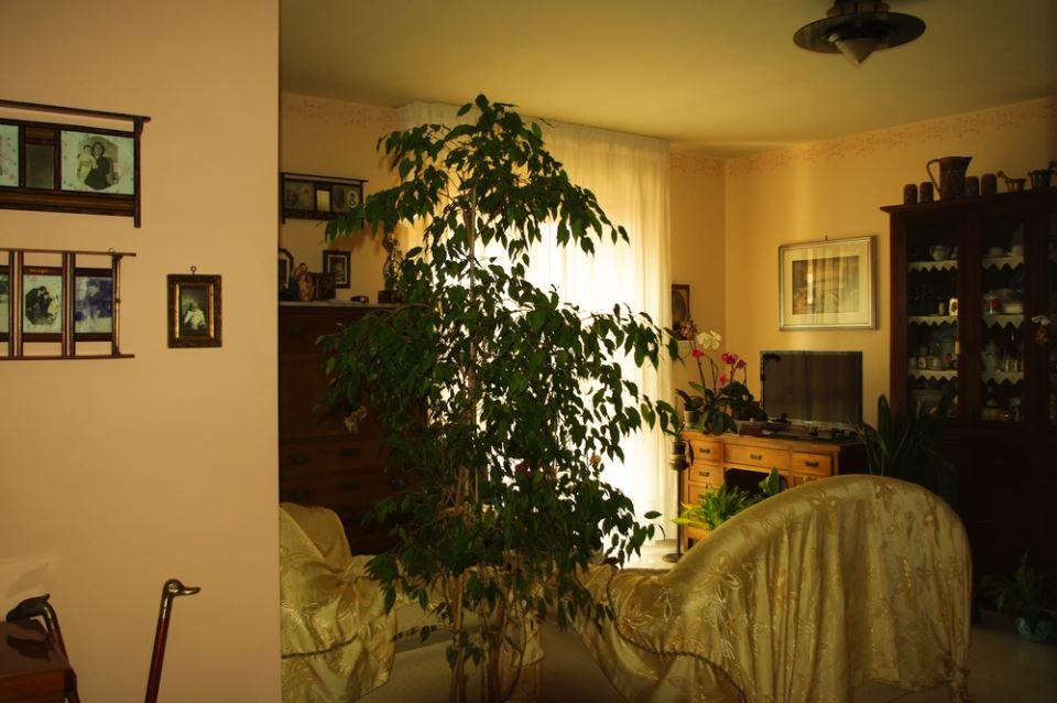 Primijećivala sam da stvari nisu na svom mjestu kad se vratim s posla, a muž je mislio da ludim