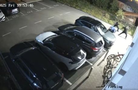 Organizovana sačekuša: Branislav Borenović objavio snimak napada na njega (VIDEO)