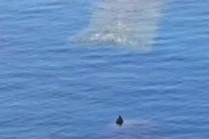 Misterija u moru Crne Gore: Snimak “nečega što vri i ide ka plićaku” uplašio turiste