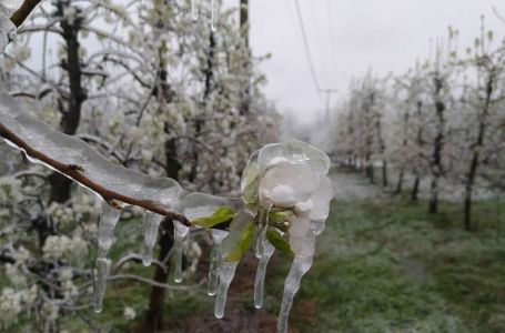 Žalićemo za toplim danima: Temperatura pada na 4 stepena, evo kada stižu prvi mrazevi