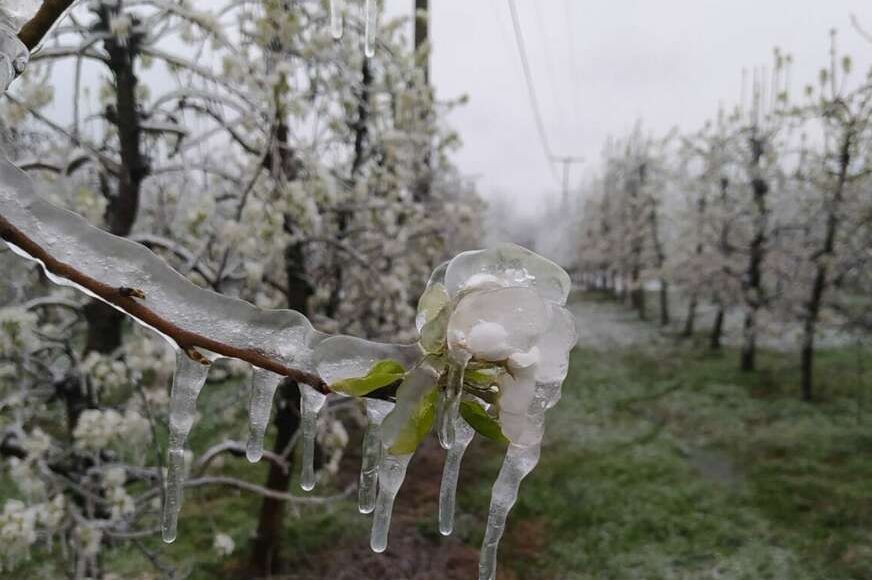 Žalićemo za toplim danima: Temperatura pada na 4 stepena, evo kada stižu prvi mrazevi