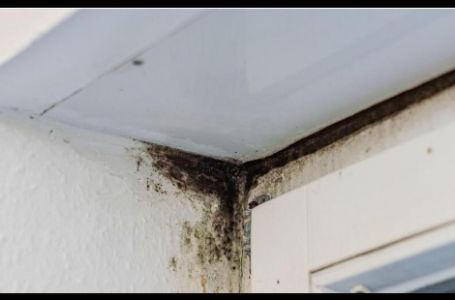 Vlaga i plijesan nestaju kao rukom odnešene! Otkrijte savjete koji zlata vrijede