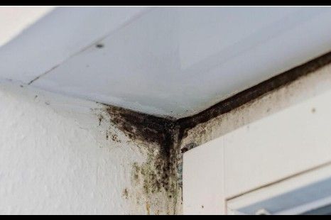 Vlaga i plijesan nestaju kao rukom odnešene! Otkrijte savjete koji zlata vrijede