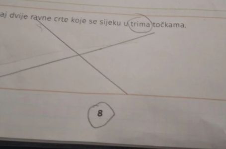 ZADATAK ZA DRUGI RAZRED OSNOVE ŠKOLE ZBUNIO BALKAN: Nema šanse da ga riješite