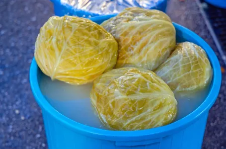 Ova sorta kupusa nije za kiseljenje: Raspadne se u kaci